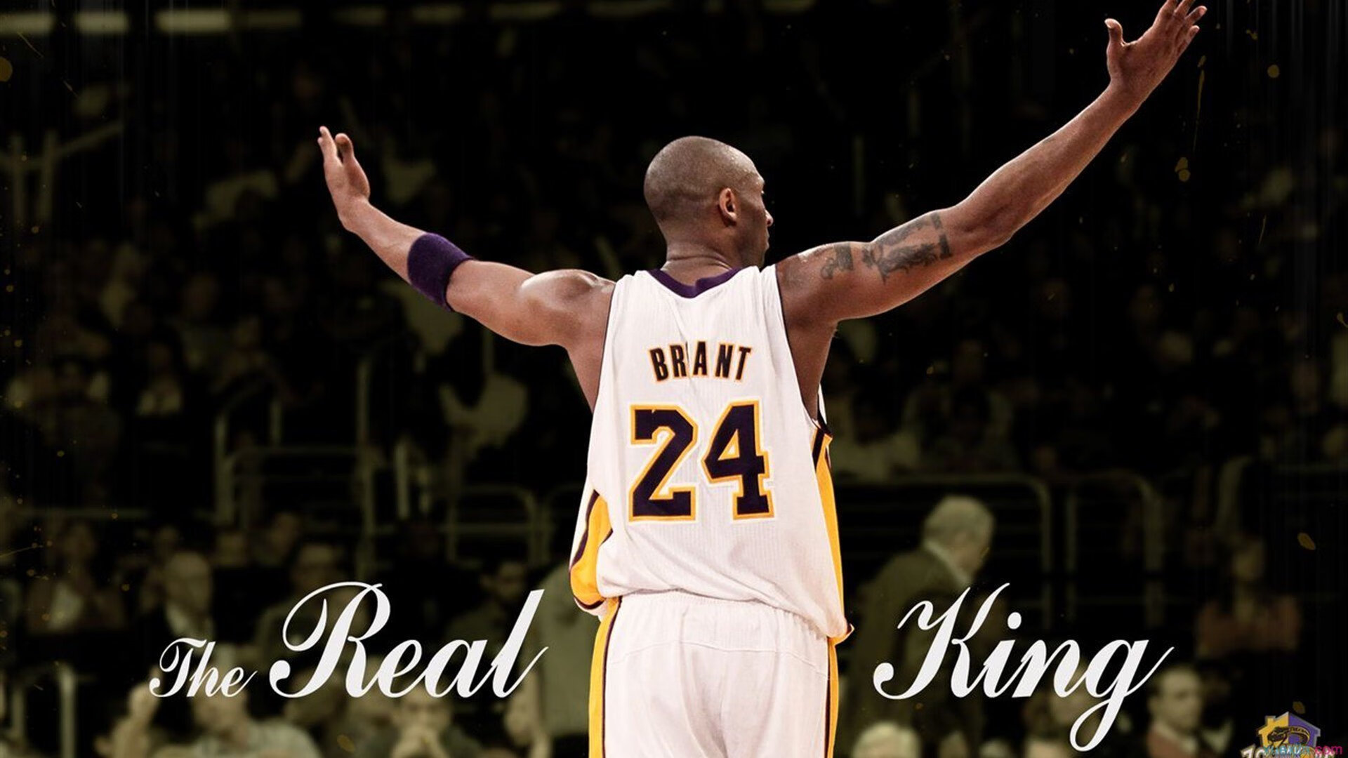 乐鱼(LEYU)体育-巴黎圣日耳曼完胜主场,提前锁定法甲冠军